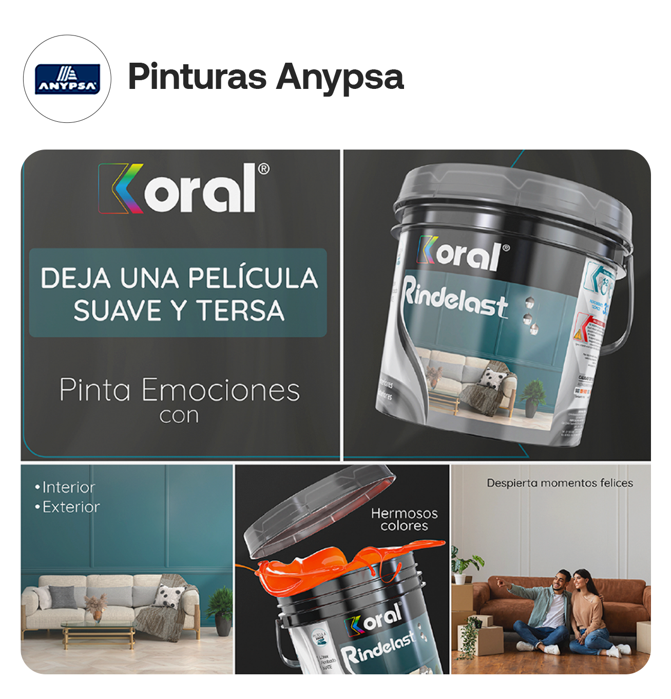 Pinturas Anypsa — Post 5